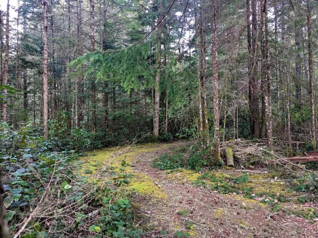 The Great Escape - Shirley & Bunkhouse Villa Sooke Kültér fotó